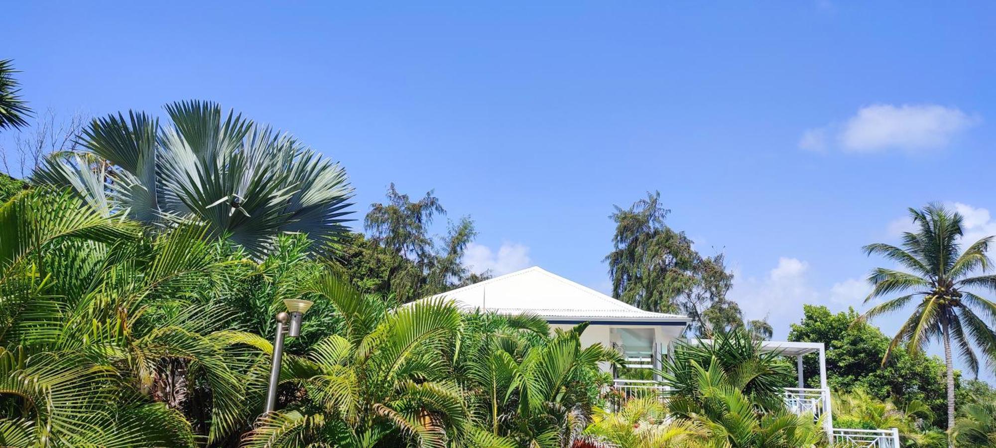 Villa Muscade Guadeloupe, Piscine, Vue Mer Et Acces Plage Сен-Франсуа Екстер'єр фото